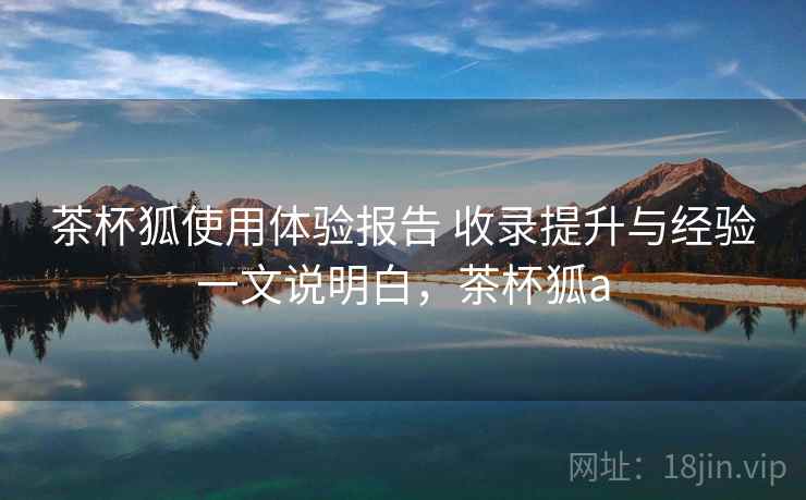 茶杯狐使用体验报告 收录提升与经验一文说明白，茶杯狐a