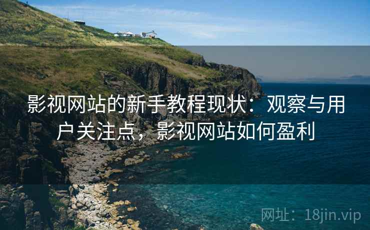 影视网站的新手教程现状：观察与用户关注点，影视网站如何盈利