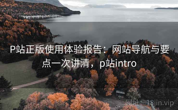 P站正版使用体验报告：网站导航与要点一次讲清，p站intro