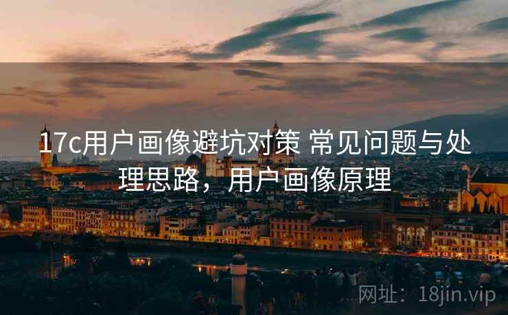 17c用户画像避坑对策 常见问题与处理思路，用户画像原理