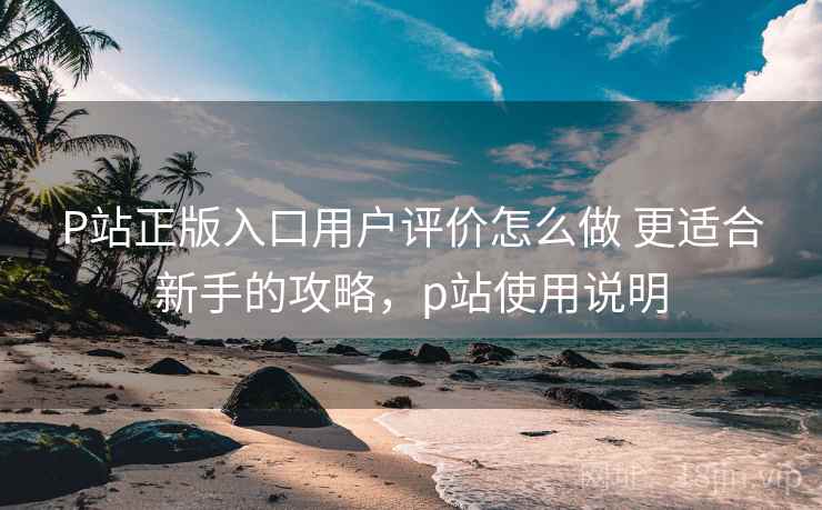 P站正版入口用户评价怎么做 更适合新手的攻略，p站使用说明