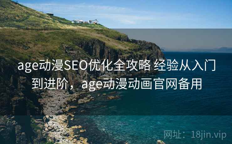 age动漫SEO优化全攻略 经验从入门到进阶，age动漫动画官网备用