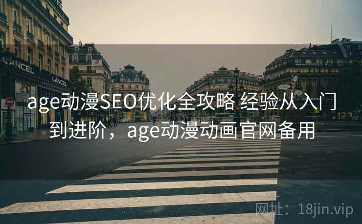 age动漫SEO优化全攻略 经验从入门到进阶，age动漫动画官网备用