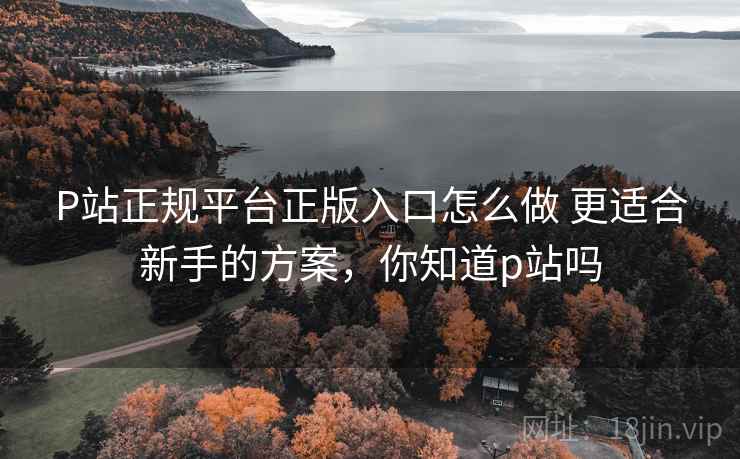 P站正规平台正版入口怎么做 更适合新手的方案，你知道p站吗