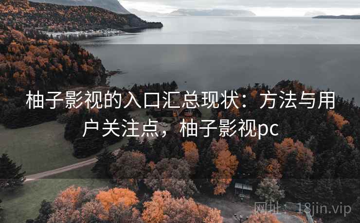 柚子影视的入口汇总现状：方法与用户关注点，柚子影视pc