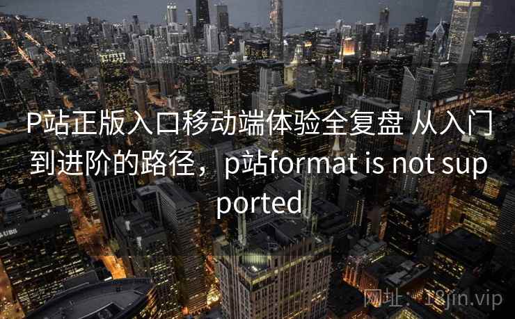 P站正版入口移动端体验全复盘 从入门到进阶的路径，p站format is not supported