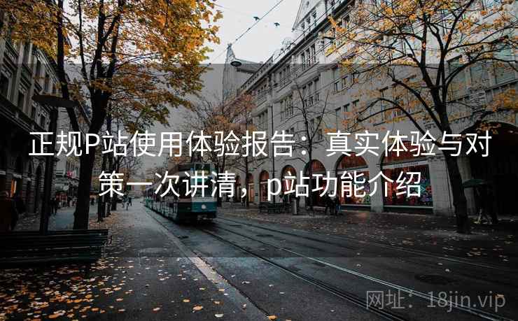 正规P站使用体验报告：真实体验与对策一次讲清，p站功能介绍