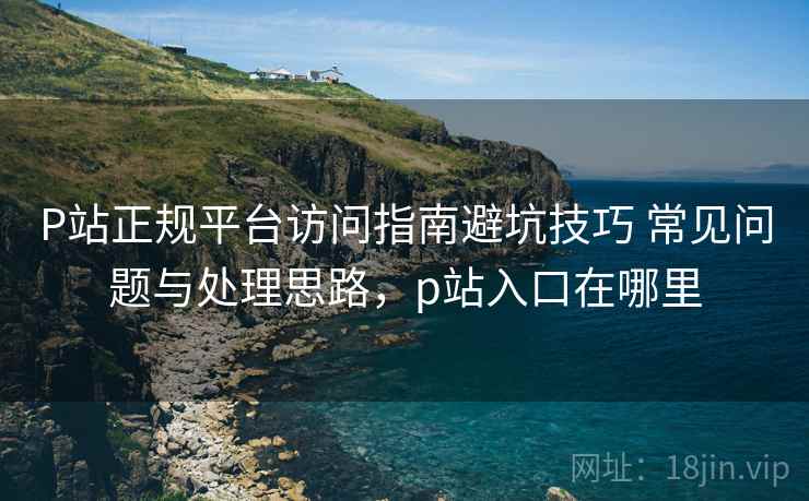 P站正规平台访问指南避坑技巧 常见问题与处理思路，p站入口在哪里