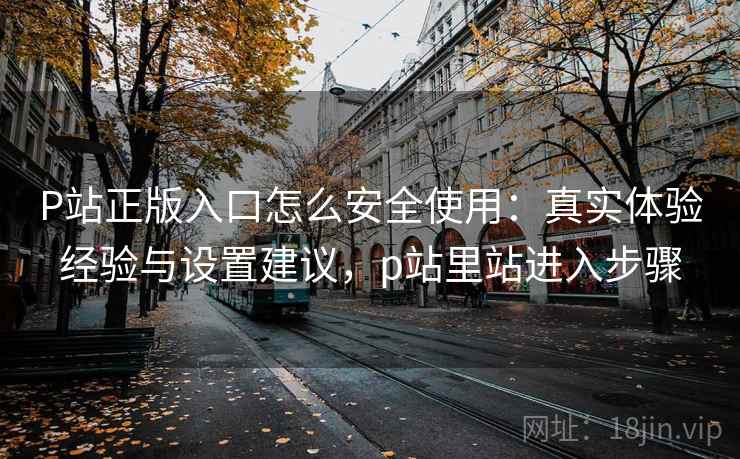 P站正版入口怎么安全使用：真实体验经验与设置建议，p站里站进入步骤