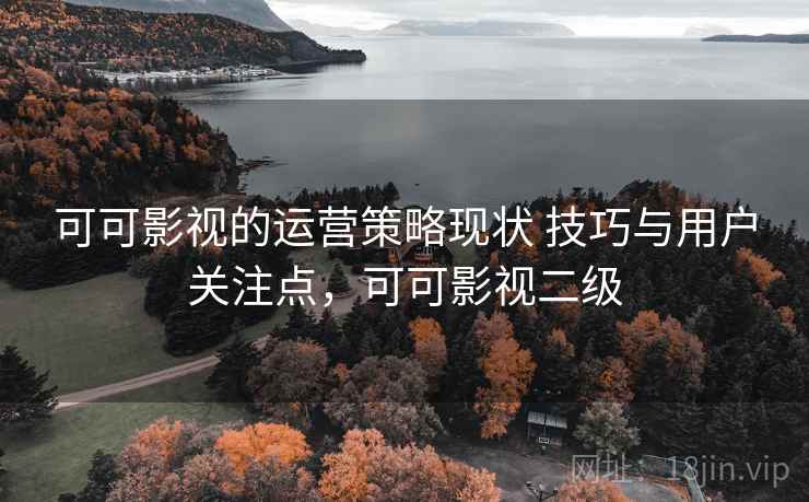 可可影视的运营策略现状 技巧与用户关注点，可可影视二级