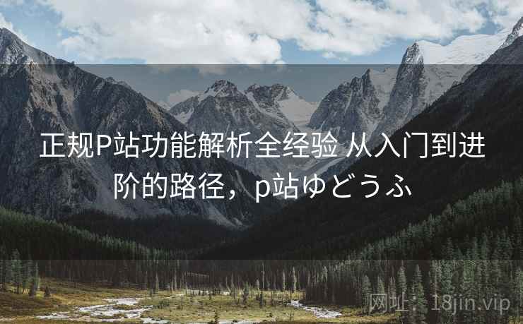 正规P站功能解析全经验 从入门到进阶的路径，p站ゆどうふ