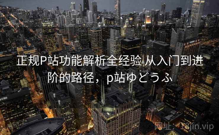 正规P站功能解析全经验 从入门到进阶的路径，p站ゆどうふ