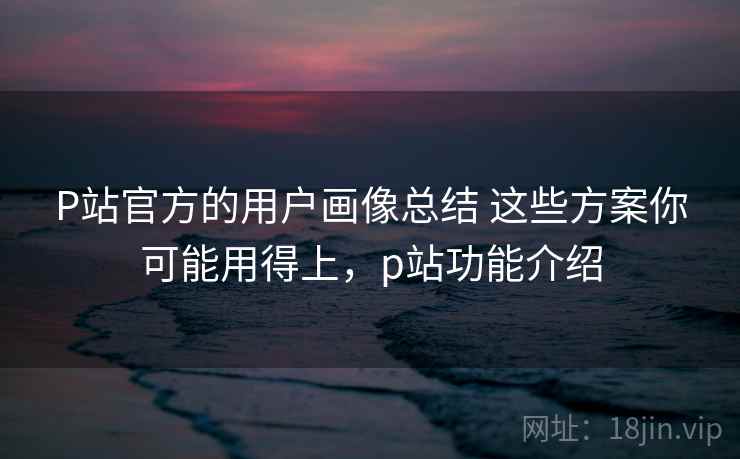 P站官方的用户画像总结 这些方案你可能用得上，p站功能介绍