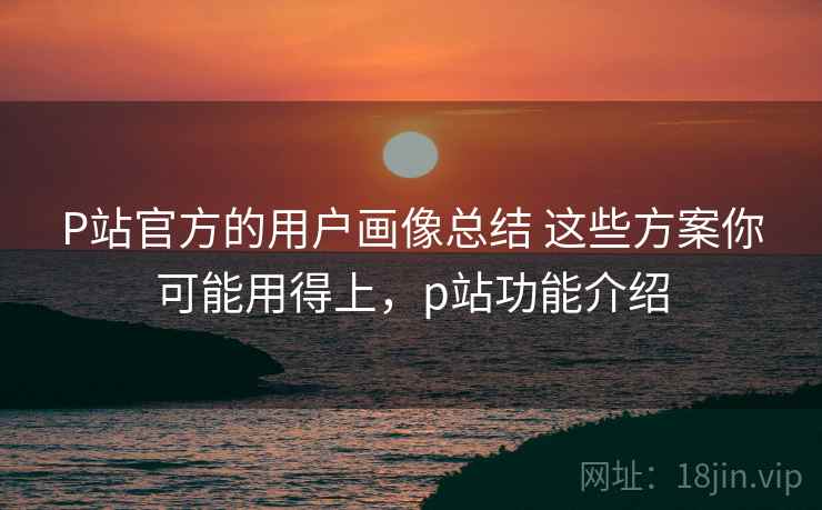 P站官方的用户画像总结 这些方案你可能用得上，p站功能介绍