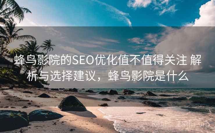 蜂鸟影院的SEO优化值不值得关注 解析与选择建议，蜂鸟影院是什么