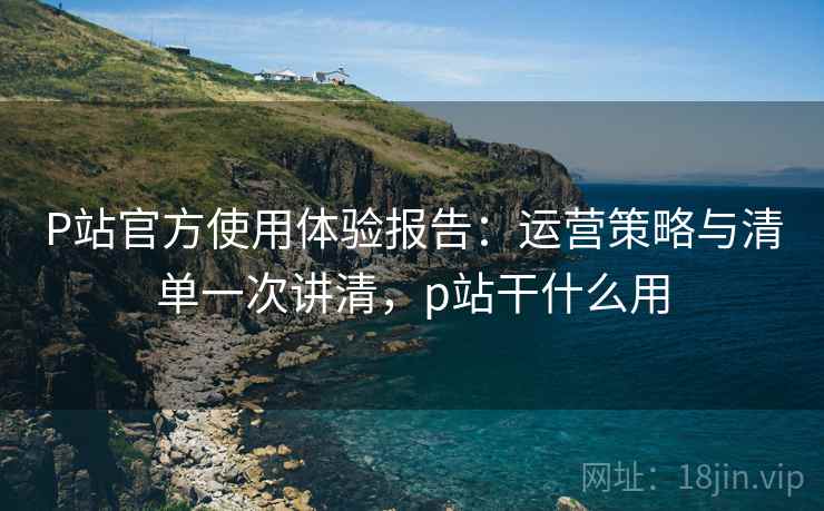 P站官方使用体验报告：运营策略与清单一次讲清，p站干什么用